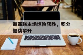 米乐体育官网-谢菲联主场惊险获胜，积分继续攀升(谢菲联俱乐部)