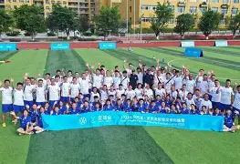 沃尔夫斯堡击败汉堡,继续保持不败 沃尔夫斯堡击败汉堡,继续保持不败