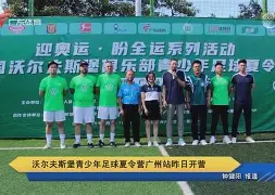 沃尔夫斯堡击败汉堡,继续保持不败 沃尔夫斯堡击败汉堡,继续保持不败